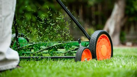 Qu'est-ce que le mulching ?