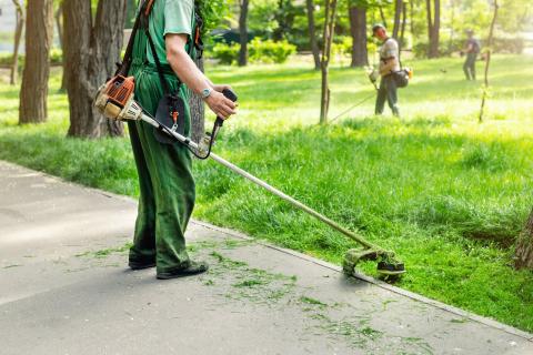 Mairie gestionnaire espaces verts