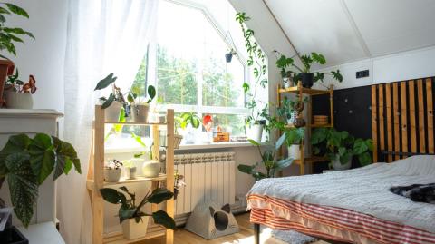 Installer des plantes dans une chambre favorise un sommeil réparateur