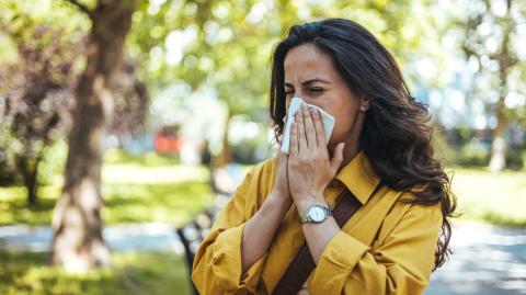 Allergies : comment protéger votre intérieur du pollen ?