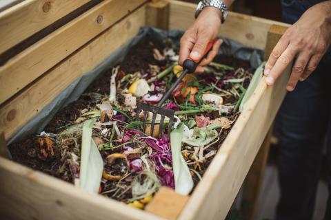Comment stopper la pousse des plantes dans mon compost ?