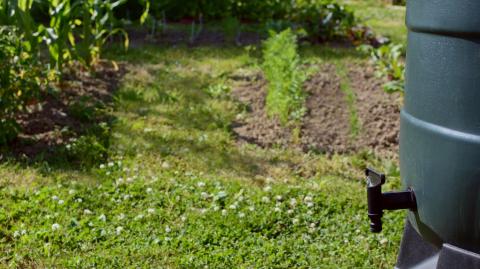 Réservoir de récupération des eaux de pluie avec robinet dans un jardin