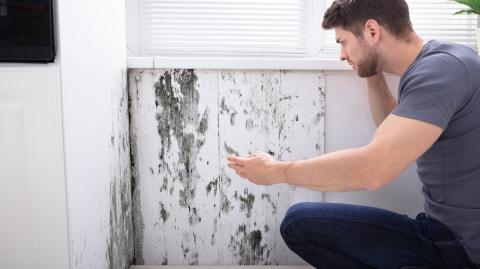 Un homme constate des moisissures importantes sur l'un des murs intérieurs de son logement