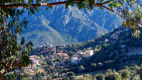 Haute-Corse