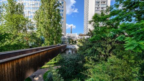 Forêts urbaines