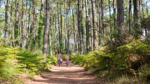 Landes