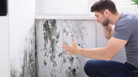 Un homme découvre avec inquiétude des marques importantes de moisissure sur les murs de son appartement