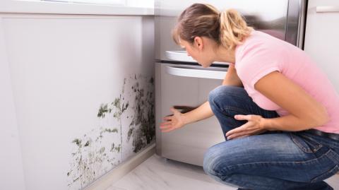 Une femme blonde découvre choquée des traces de moisissure sur l'un des murs de sa cuisine