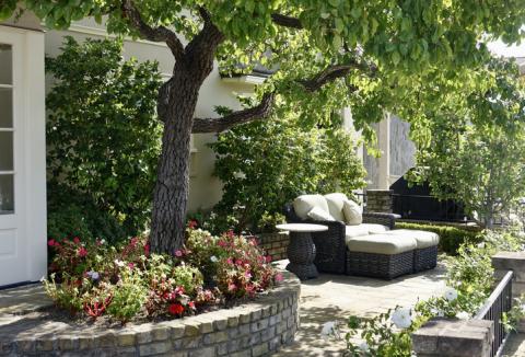 jardin