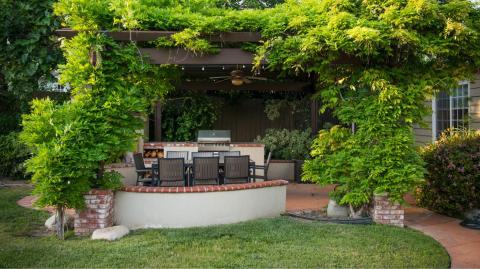 Les plantes grimpantes ont le don de transformer n’importe quel mur, clôture ou pergola en un véritable écrin de verdure. © Spiderplay - Getty images