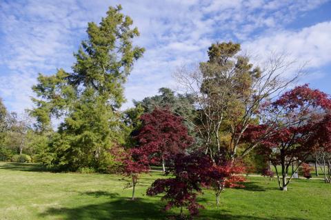 Rennes parc Gayeulles