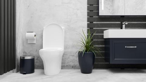 Tips pour neutraliser les mauvaises odeurs d'un WC