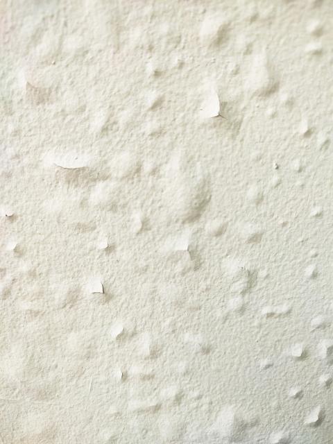 Les causes d'une peinture qui cloque