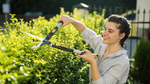 Une jeune femme souriante taille la haie de sa propriété à l'aide d'un taille-haie