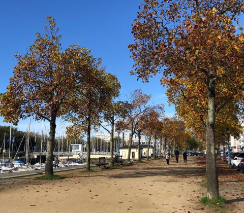 Lorient quartier Frébault