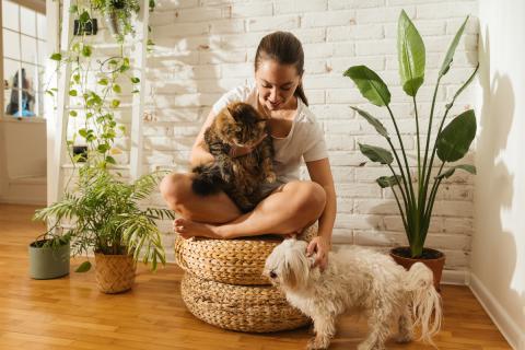 Les plantes nocives pour les chiens et chats