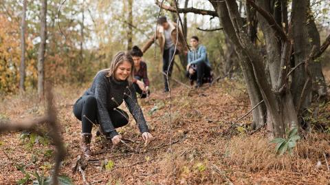 Ramasser du bois en forêt, est-ce vraiment autorisé ?