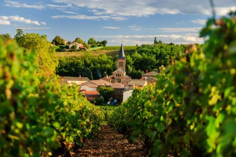 , Le Beaujolais a plus en plus la cote auprès de citadins désireux de partir s'installer en zone rurale.© Getty Images