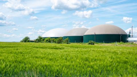 Le gaz vert est un gaz produit à partir de déchets organiques, et qui est donc d'origine renouvelable. © Animaflora - Getty images