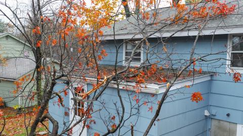 Une maison à la façade en bois bleu a subi des dégâts à la suite de la chute d'un arbre 