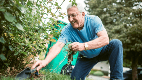 Il existe plusieurs astuces pour désherber efficacement son jardin. © RyanJLane - Getty images