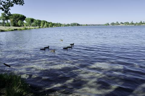 Tournefeuille Haute Garonne meilleurs quartiers