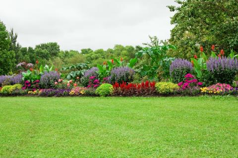 Tout savoir sur la location de jardins entre particuliers et professionnels