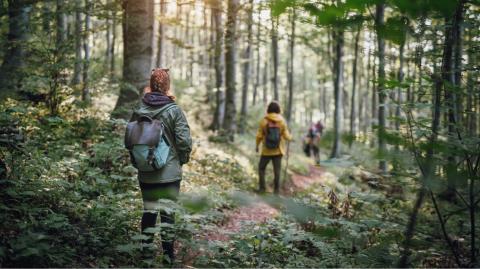 Ces 7 forêts sont idéales pour une balade en Île-de-France. © Getty Images