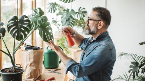 Bicarbonate de soude : le produit du placard qui soigne vos plantes.