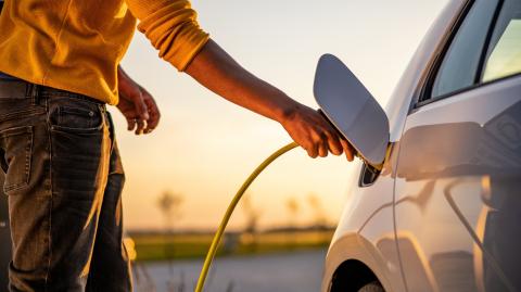Carport photovoltaïque : comment recharger sa voiture avec l'énergie de votre jardin ?