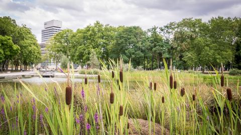 Les prix immobiliers et tendances à Cergy