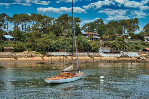 Cap Ferret