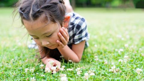 Une fillette allongée dans l'herbe observe des fleurs de trèfle blanc
