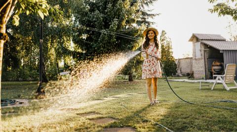 Canicule : faut-il vraiment arroser sa pelouse quand elle jaunit ?