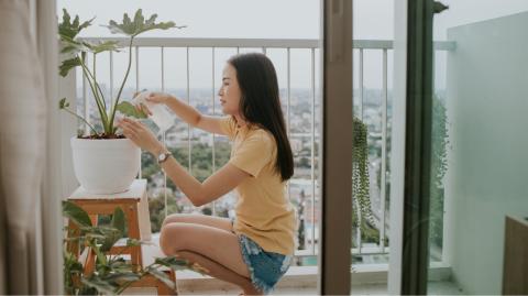 Balcon orienté nord : 7 plantes décoratives qui n'ont pas besoin de soleil.