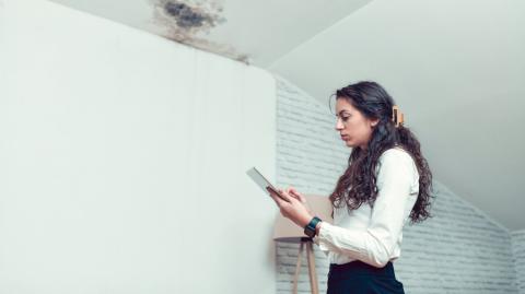 Humidité dans un logement : les signes à repérer absolument lors d'une visite.