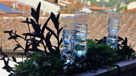 Des bouteilles d'eau en plastique percées et retournées permettent l'arrosage régulier des plantes d'une jardinière accrochée à la rambarde d'un balcon