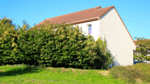 Entretien ou réparation du jardin et de la façade : qui paye quoi lors d'un contrat de location ? © Bruno Giuliani - Getty images