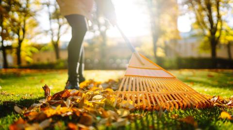 7 astuces simples pour préparer son jardin à l’automne.