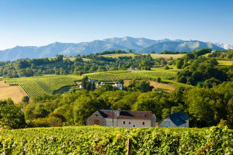 Analyse du marché immobilier à Jurançon en 2026