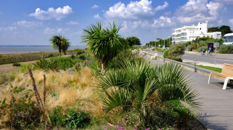 Saint-Brevin-les-Pins - Getty