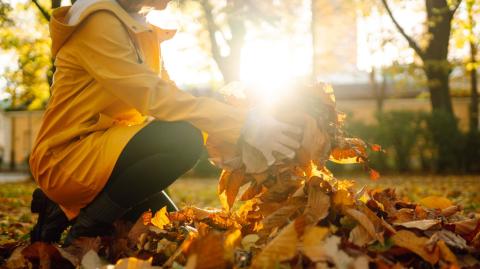 3 façons de recycler vos feuilles mortes au jardin.