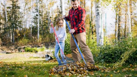 Un homme ratisse les feuilles mortes dans le jardin avec une petite fille