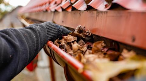 Gouttières : le nettoyage à faire avant les pluies d'automne.