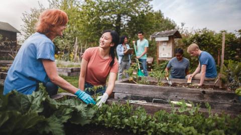 Comment obtenir une parcelle dans un jardin partagé ?