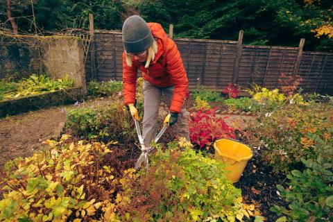 Que faire au jardin en octobre
