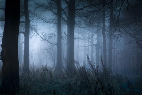 Lieux hantés en France à visiter pour Halloween