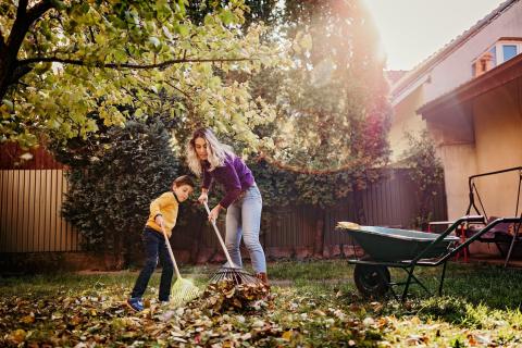 Petits travaux avant hiver