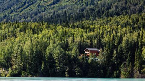 Acheter une maison près d’une forêt : les vérifications à faire avant de signer.