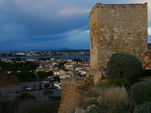 Analyse du marché immobilier à Fos-sur-Mer en 2026